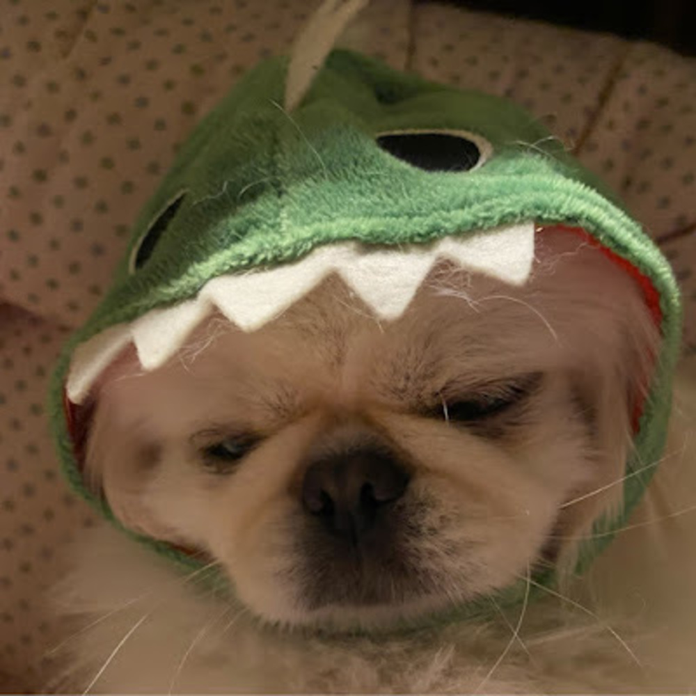 Meet your Posher, Marlie